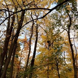 Meet your Posher, Maureen